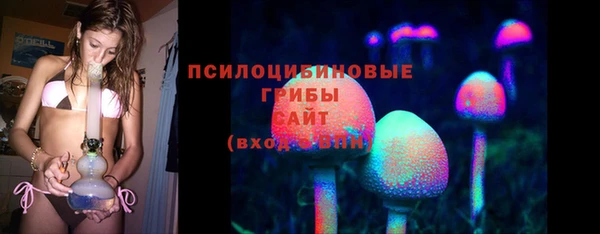 стаф Снежинск