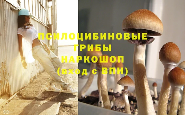 героин Данков