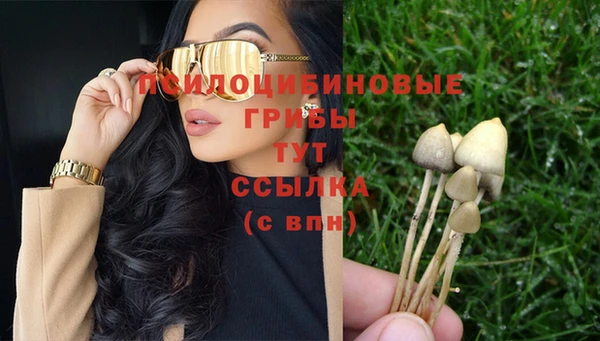 героин Данков