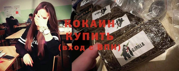 стаф Снежинск