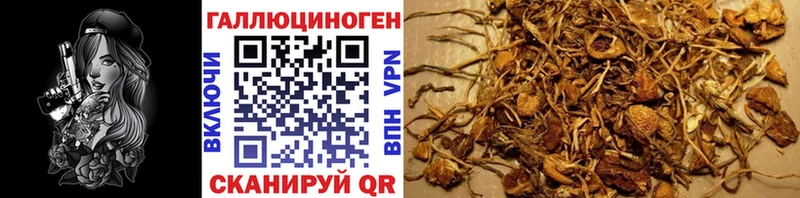 Галлюциногенные грибы мицелий  Новороссийск 
