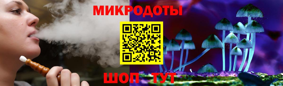 Псилоцибиновые грибы Cubensis  Вход с VPN  Галлюциногенные грибы мицелий  Новороссийск 